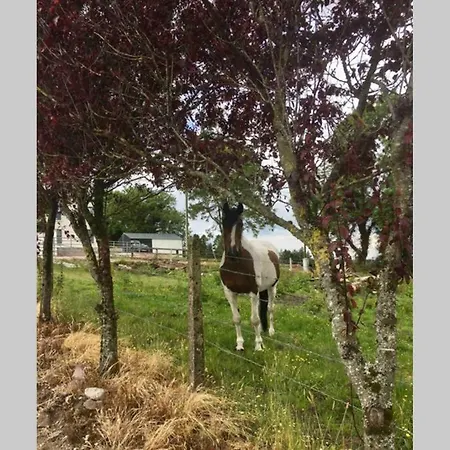 Сasa de vacaciones The Farmhouse Cork